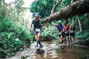 BIB: 
                            <button type="button" onclick="openModal(25369082)" class="btn btn-primary btn-sm float-right btn-popup" data-toggle="modal" data-target=".modal-high-quality">
                        <i class="fas fa-shopping-cart"></i> Add to Cart
                    </button>
                                            <button type="button" onclick="isThisMe(25369082, true)" class="btn btn-success btn-sm float-right btn-popup btn-isme hidden" data-toggle="tooltip" data-placement="bottom" title="นี่คือรูปของคุณใช่ไหม คลิกที่นี่เพื่อเอาเข้าอัลบั้ม">
                        <i class="fas fa-plus"></i> Add to album
                    </button>
                    <button type="button" onclick="isThisMe(25369082, false)" class="btn btn-warning btn-sm float-right btn-popup btn-isnotme hidden">
                        <i class="fas fa-ban"></i> Remove from album
                    </button>